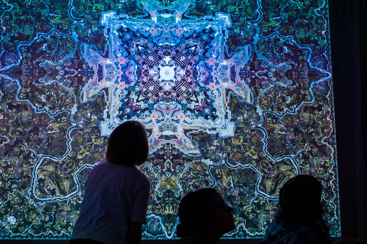 Habitat Installation View