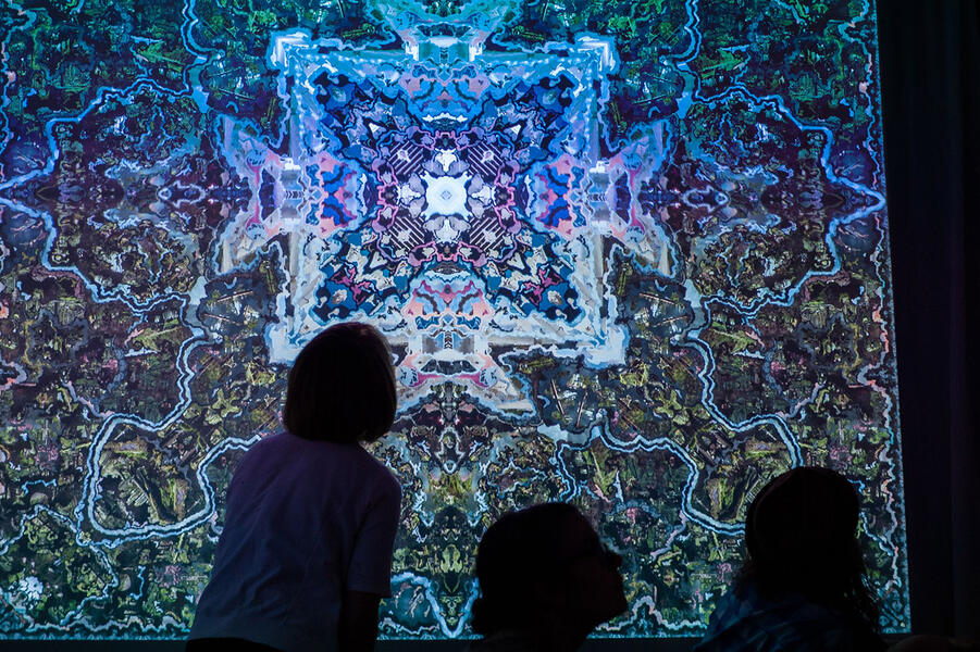 Habitat Installation View