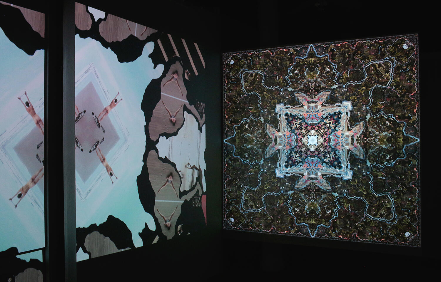 Habitat, 4-channel Solo Show, Duplex Gallery Portland