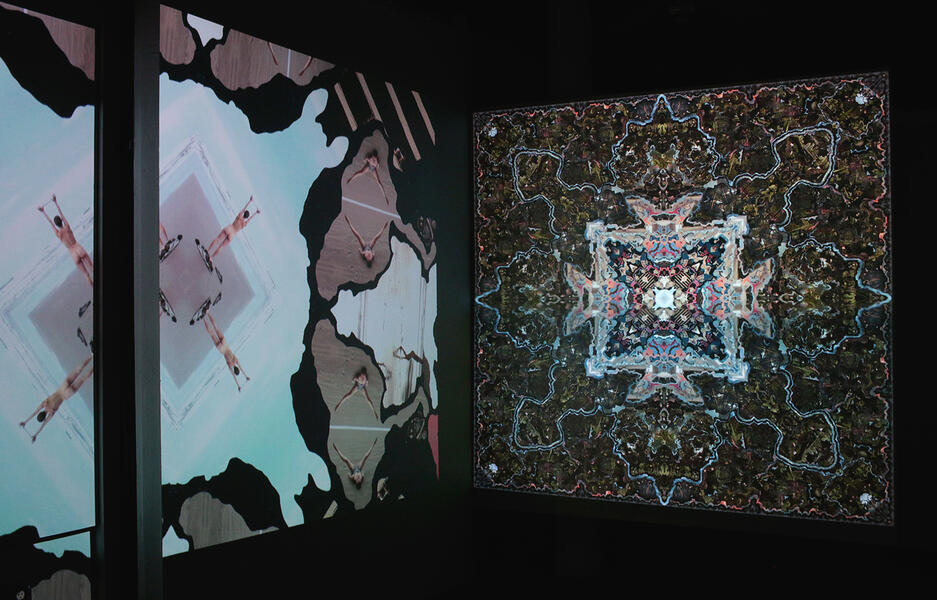 Habitat, 4-channel Solo Show, Duplex Gallery Portland